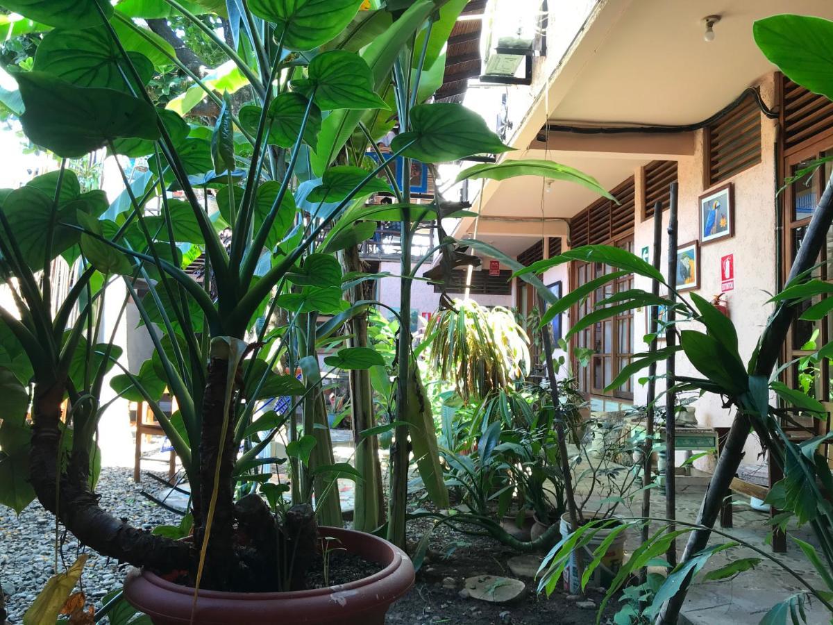 Casa De Palos Boutique Tarapoto Bagian luar foto