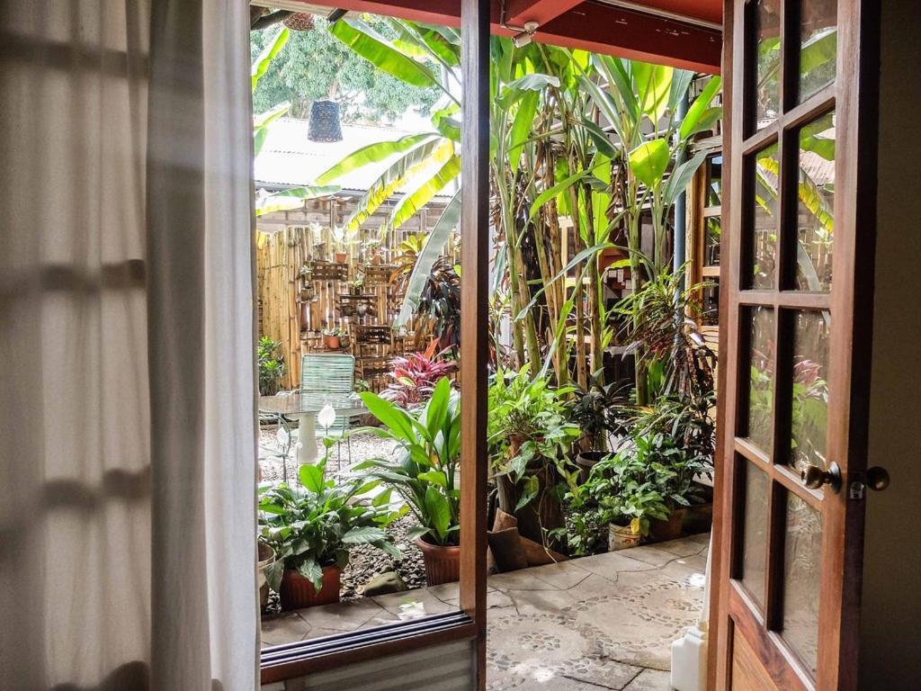Casa De Palos Boutique Tarapoto Bagian luar foto